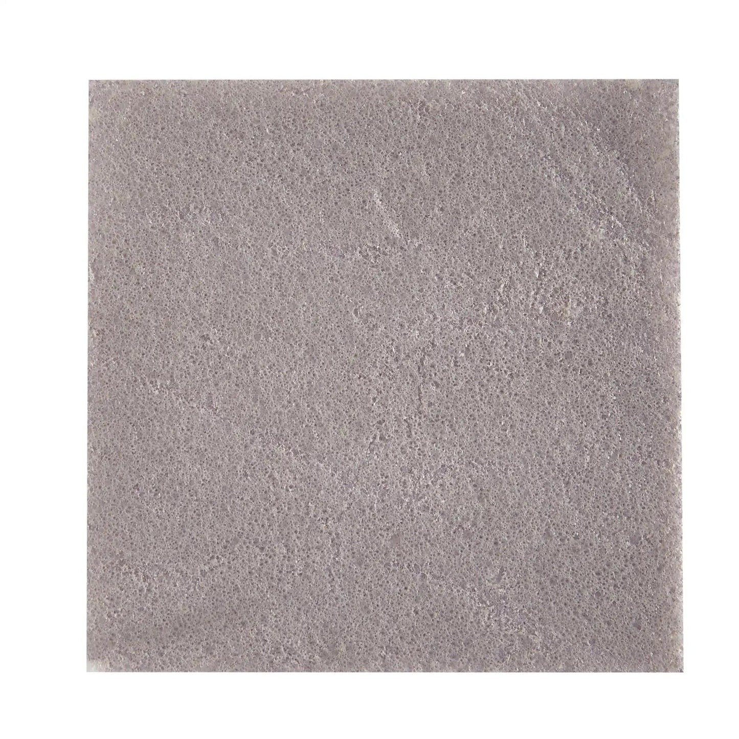 DermaCol Ag Collagen Matrix Wound Dressing