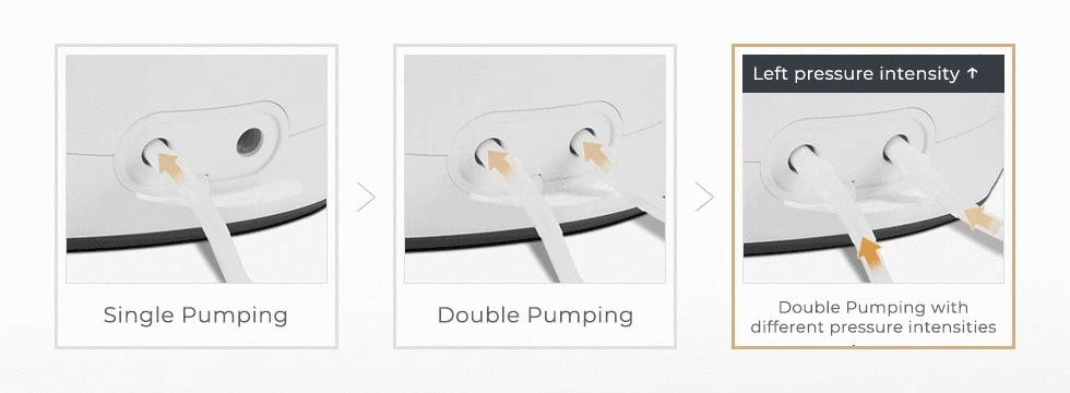 Spectra SYnergy Gold Portable Double Adjustable - KatyMedSolutions
