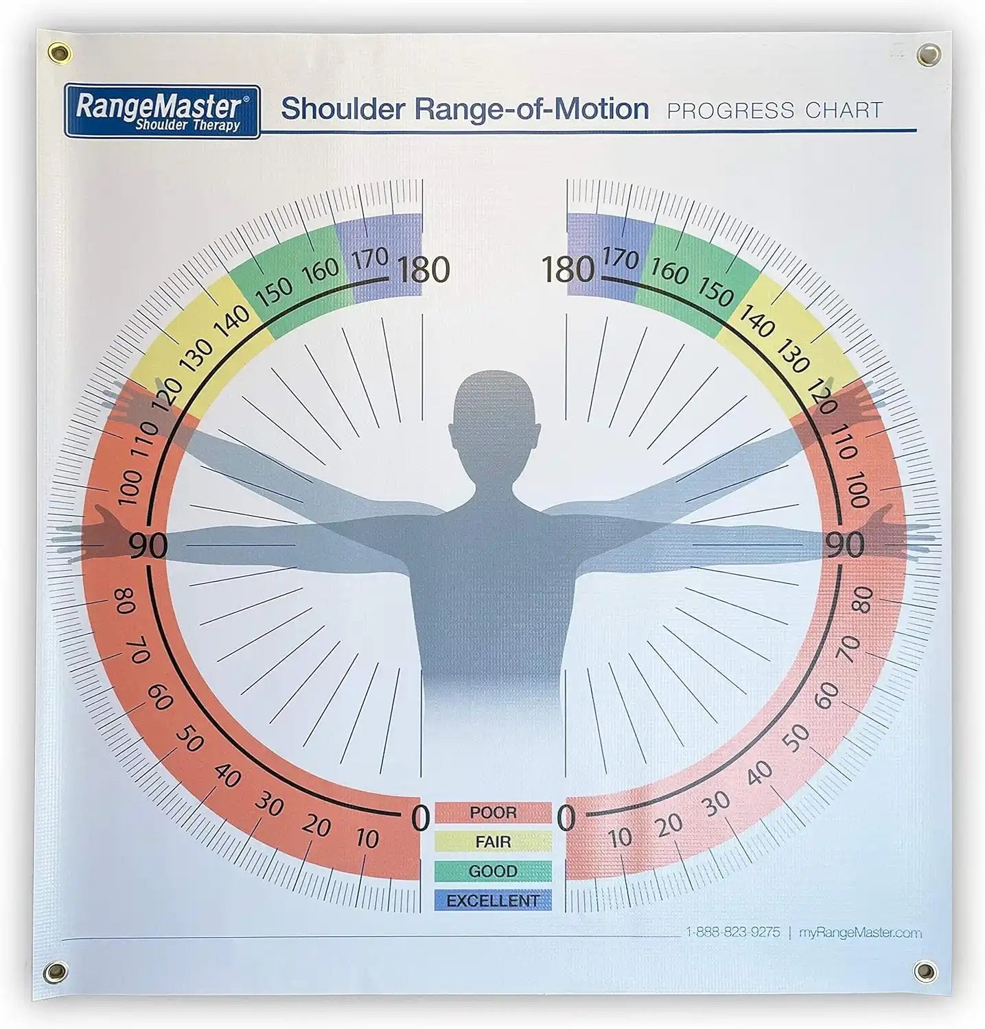 Physical Therapy Chart