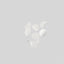 Welly Face Saver Clear Spot Bandages